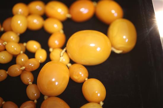 A single strand graduated oval amber bead necklace and pair of double bead earrings, 39in.